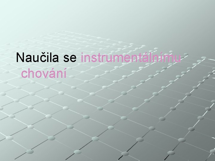 Naučila se instrumentálnímu chování 