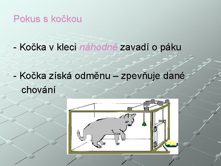 Pokus s kočkou - Kočka v kleci náhodně zavadí o páku - Kočka získá