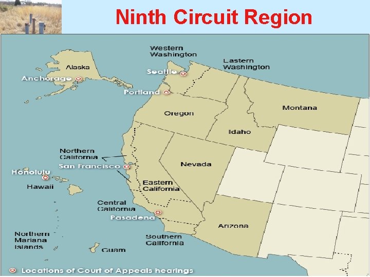 Ninth Circuit Region Ninth Circuit Region