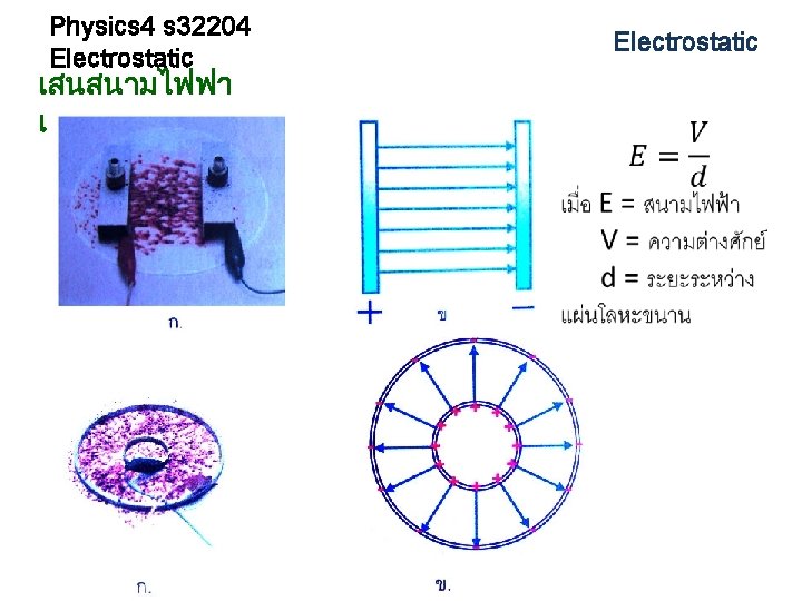 Physics 4 s 32204 Electrostatic เสนสนามไฟฟาระหวางตวนำขนาน Electrostatic 