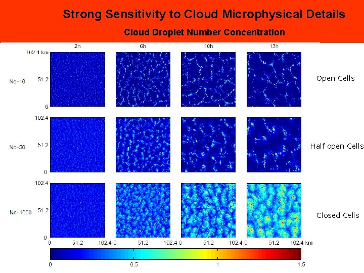 Strong Sensitivity to Cloud Microphysical Details Cloud Droplet Number Concentration Open Cells Half open