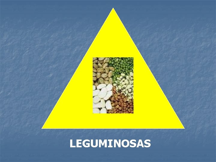 LEGUMINOSAS LEGUMINOSAS