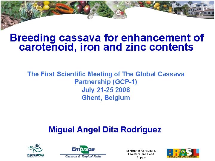 Breeding cassava for enhancement of carotenoid, iron and zinc contents The First Scientific Meeting