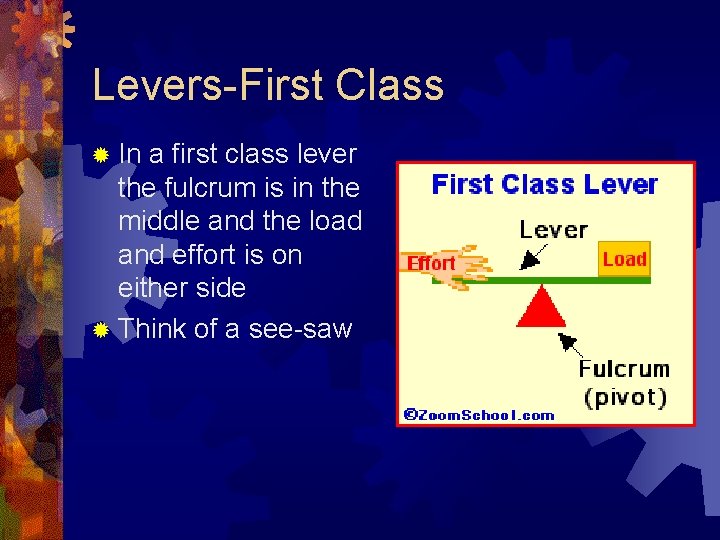 Levers-First Class In a first class lever the fulcrum is in the middle and