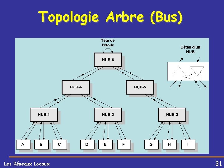 Topologie Arbre (Bus) Les Réseaux Locaux 31 