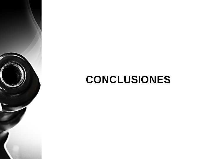 CONCLUSIONES 