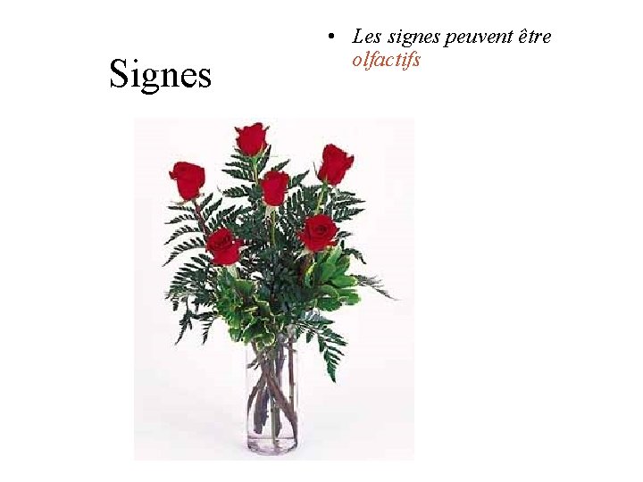 Signes • Les signes peuvent être olfactifs Signes • Les signes peuvent être olfactifs
