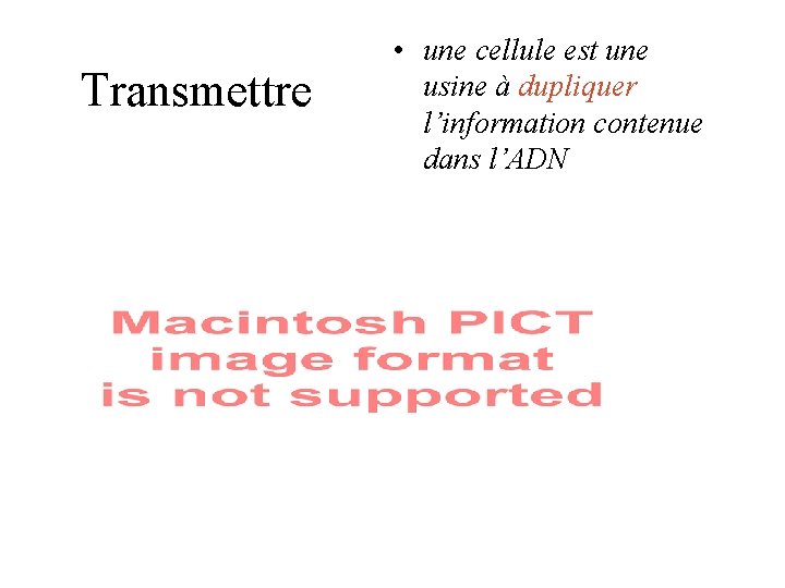 Transmettre • une cellule est une usine à dupliquer l’information contenue dans l’ADN Transmettre • une cellule est une usine à dupliquer l’information contenue dans l’ADN