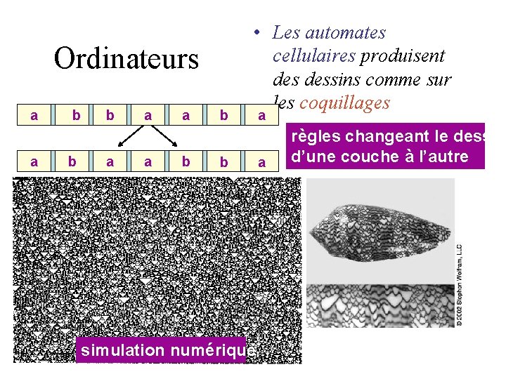 Ordinateurs a a b b b a a b b • Les automates cellulaires Ordinateurs a a b b b a a b b • Les automates cellulaires