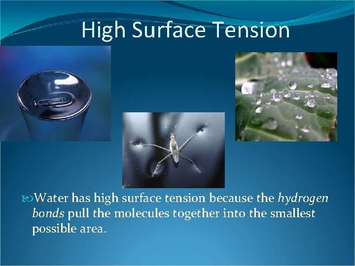 High Surface Tension Water has high surface tension because the hydrogen bonds pull the