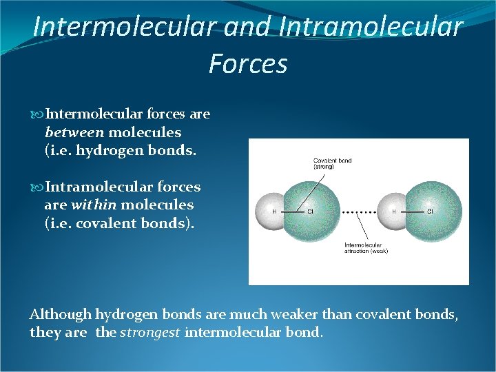 Intermolecular and Intramolecular Forces Intermolecular forces are between molecules (i. e. hydrogen bonds. Intramolecular