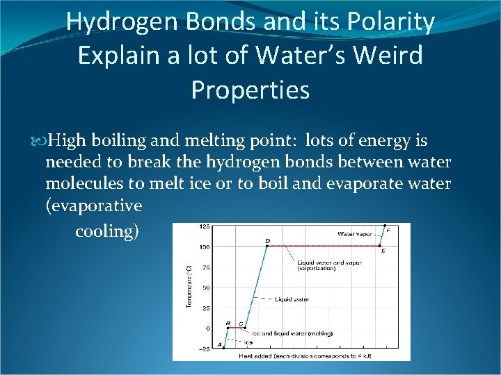 Hydrogen Bonds and its Polarity Explain a lot of Water’s Weird Properties High boiling