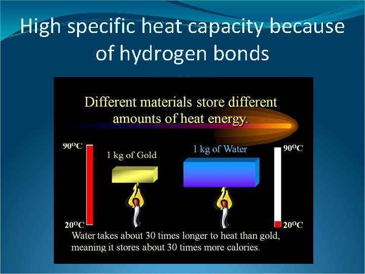 High specific heat capacity because of hydrogen bonds 