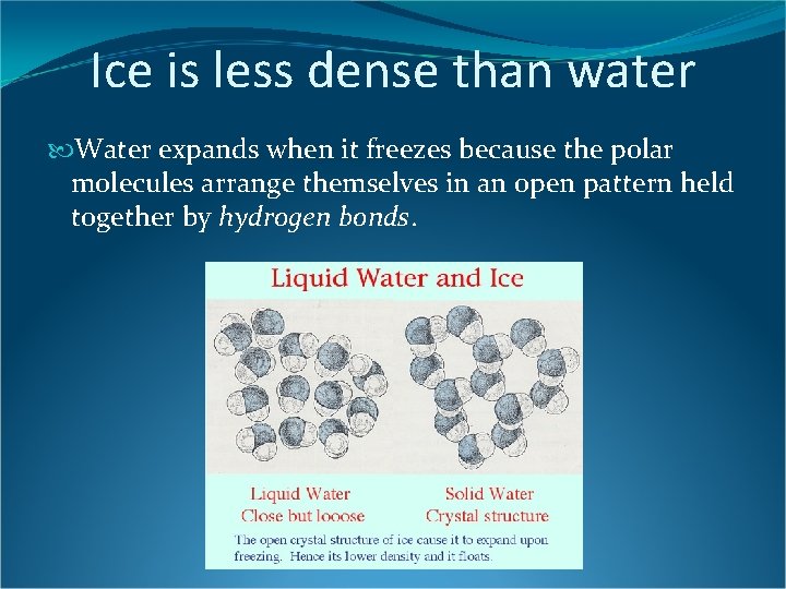 Ice is less dense than water Water expands when it freezes because the polar