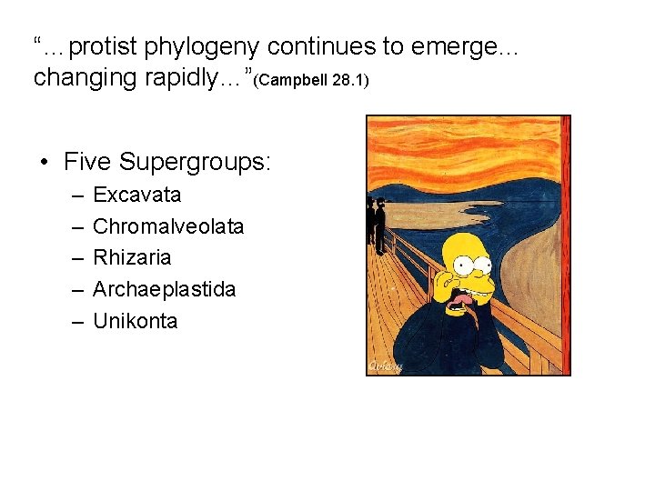 “…protist phylogeny continues to emerge… changing rapidly…”(Campbell 28. 1) • Five Supergroups: – –