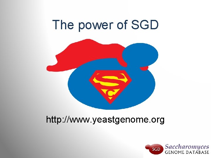 The power of SGD http: //www. yeastgenome. org 