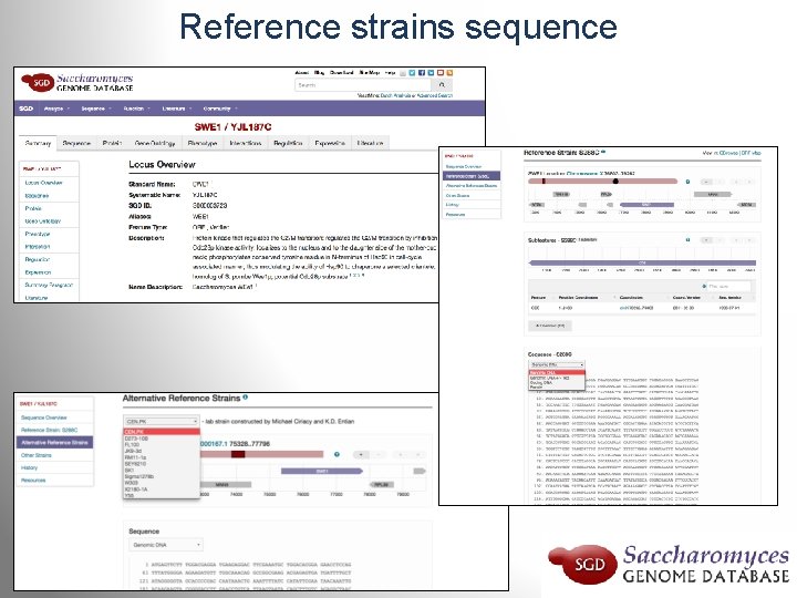 Reference strains sequence 