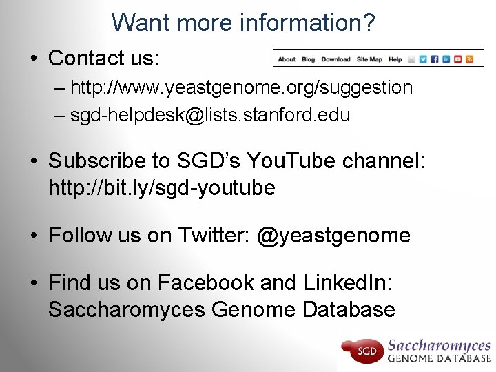 Want more information? • Contact us: – http: //www. yeastgenome. org/suggestion – sgd-helpdesk@lists. stanford.