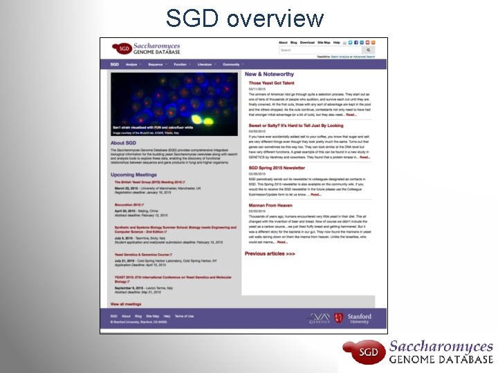 SGD overview 