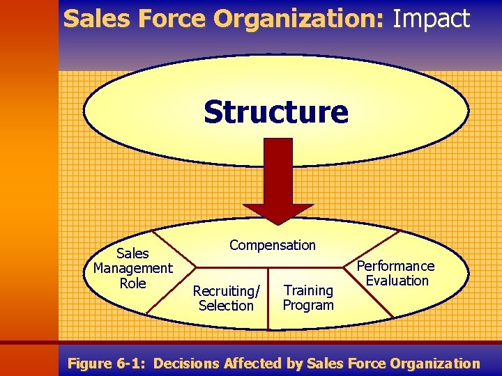 Sales Force Organization: Impact Structure Sales Management Role Compensation Recruiting/ Selection Training Program Performance