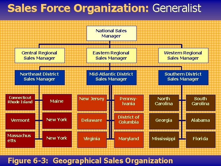 Sales Force Organization: Generalist National Sales Manager Central Regional Sales Manager Eastern Regional Sales