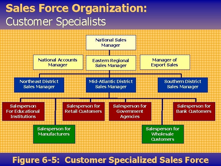 Sales Force Organization: Customer Specialists National Sales Manager National Accounts Manager Northeast District Sales