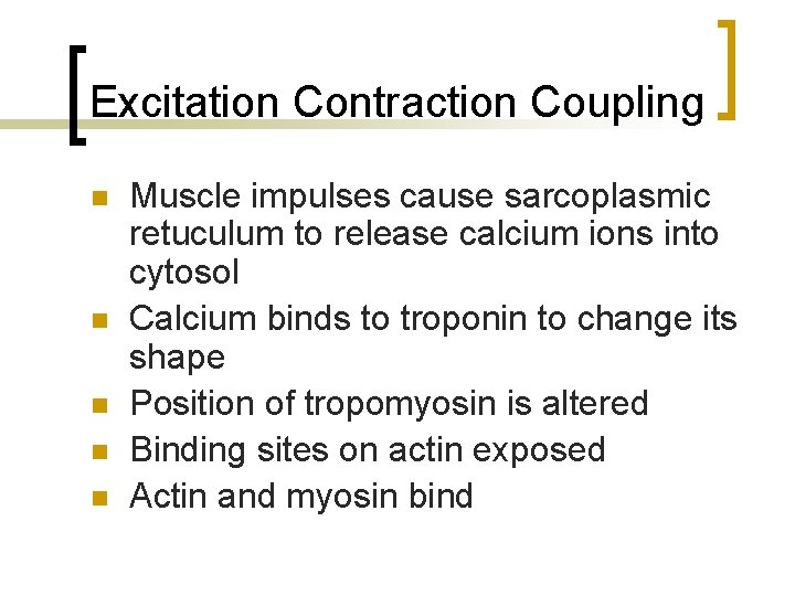 Excitation Contraction Coupling n n n Muscle impulses cause sarcoplasmic retuculum to release calcium