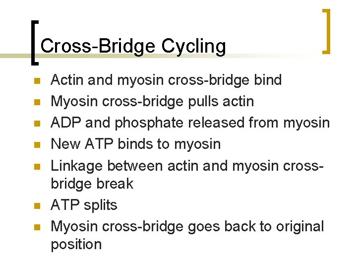 Cross-Bridge Cycling n n n n Actin and myosin cross-bridge bind Myosin cross-bridge pulls