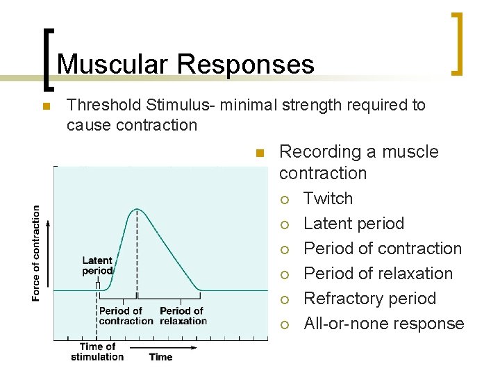 Muscular Responses n Threshold Stimulus- minimal strength required to cause contraction n Recording a