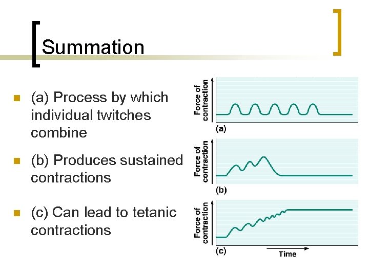 Summation n (a) Process by which individual twitches combine n (b) Produces sustained contractions