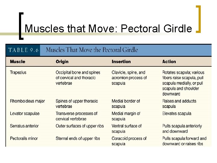 Muscles that Move: Pectoral Girdle 