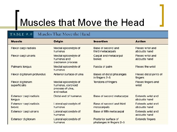 Muscles that Move the Head 