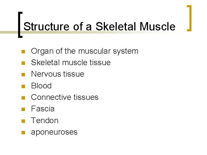 Structure of a Skeletal Muscle n n n n Organ of the muscular system