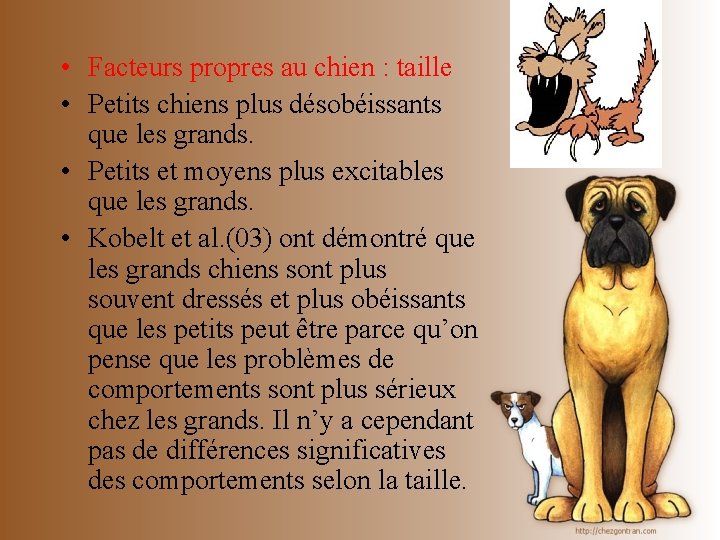  • Facteurs propres au chien : taille • Petits chiens plus désobéissants que