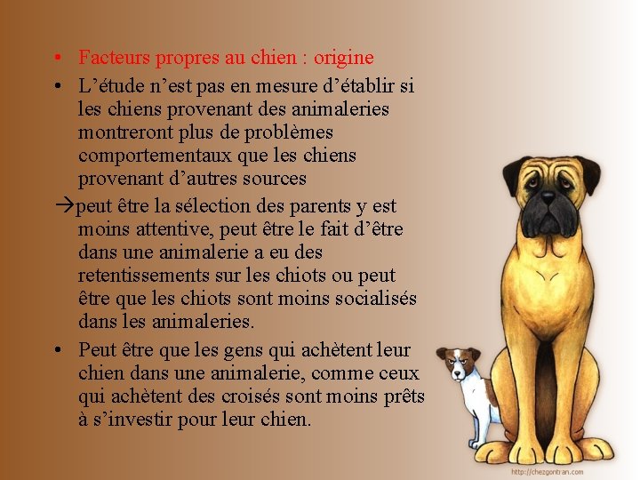  • Facteurs propres au chien : origine • L’étude n’est pas en mesure