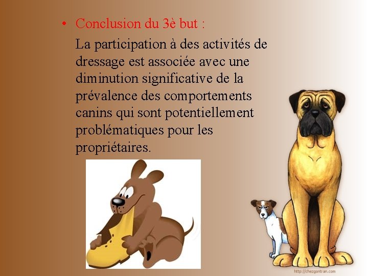  • Conclusion du 3è but : La participation à des activités de dressage