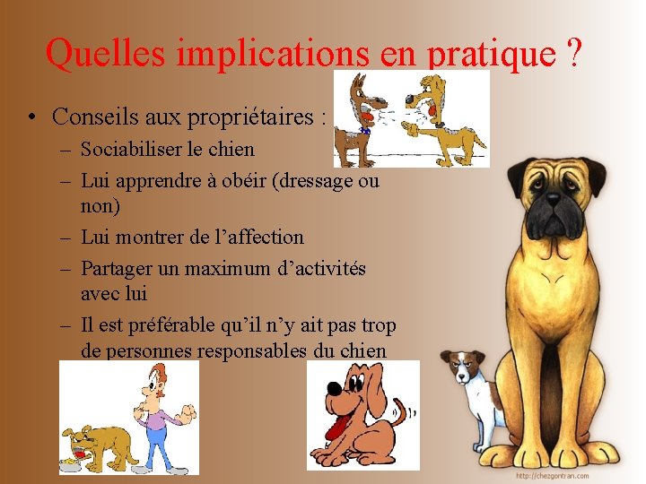 Quelles implications en pratique ? • Conseils aux propriétaires : – Sociabiliser le chien