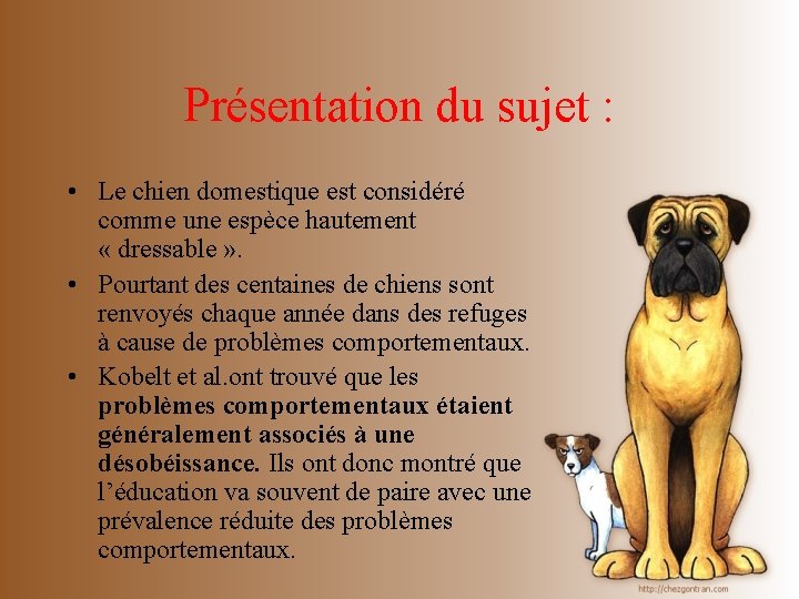 Présentation du sujet : • Le chien domestique est considéré comme une espèce hautement