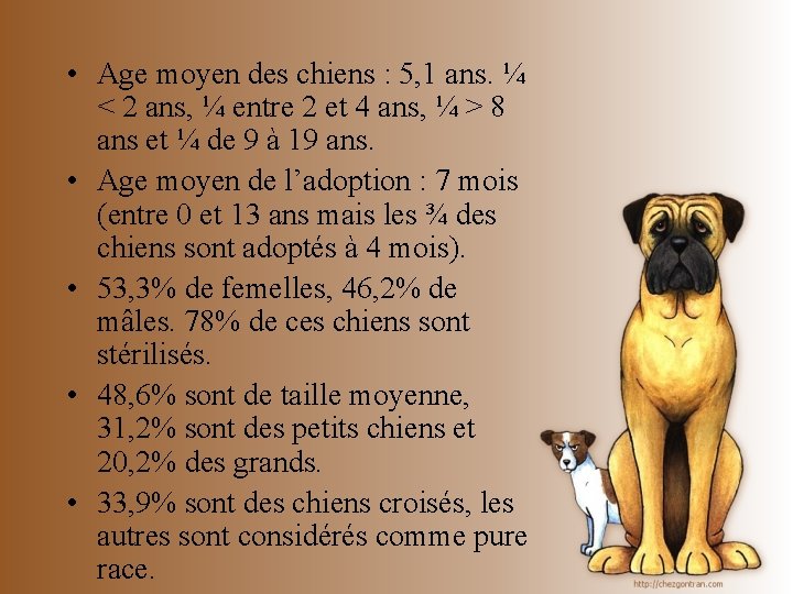  • Age moyen des chiens : 5, 1 ans. ¼ < 2 ans,