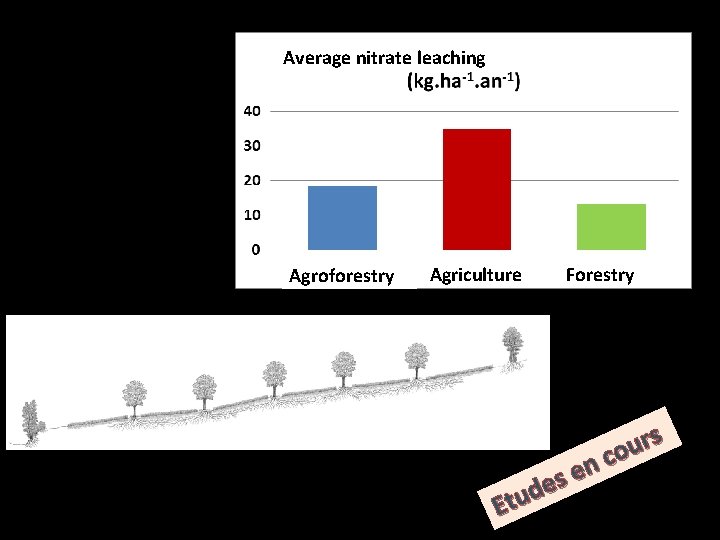Average nitrate leaching Agroforestry Agriculture Forestry s r u co n e s e