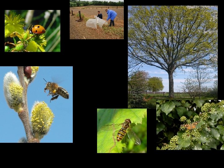 Réduction de la fragmentation des habitats 