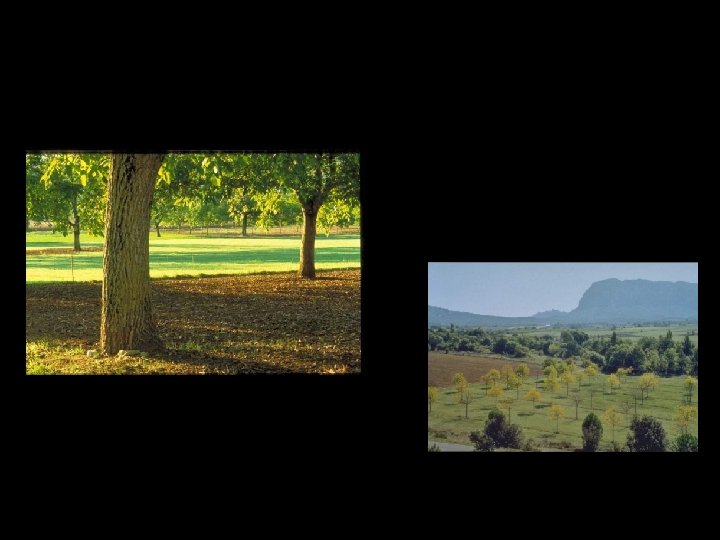 Paysage : une image positive et sincère de systèmes de production durables 