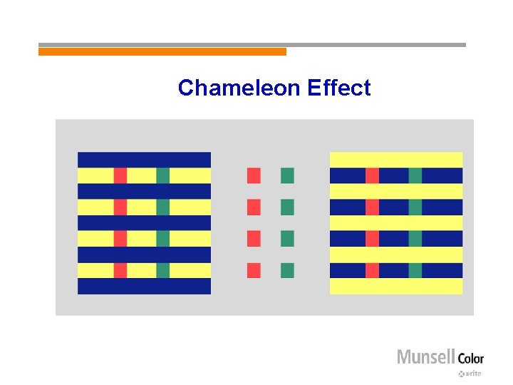 Chameleon Effect 