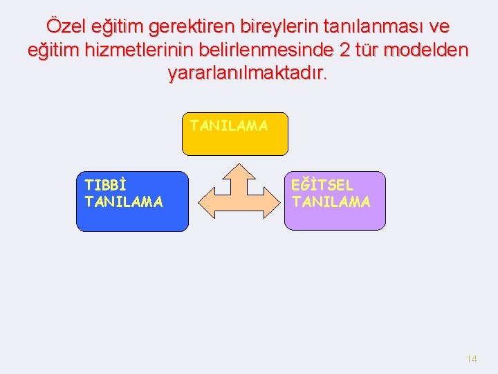 Özel eğitim gerektiren bireylerin tanılanması ve eğitim hizmetlerinin belirlenmesinde 2 tür modelden yararlanılmaktadır. TANILAMA