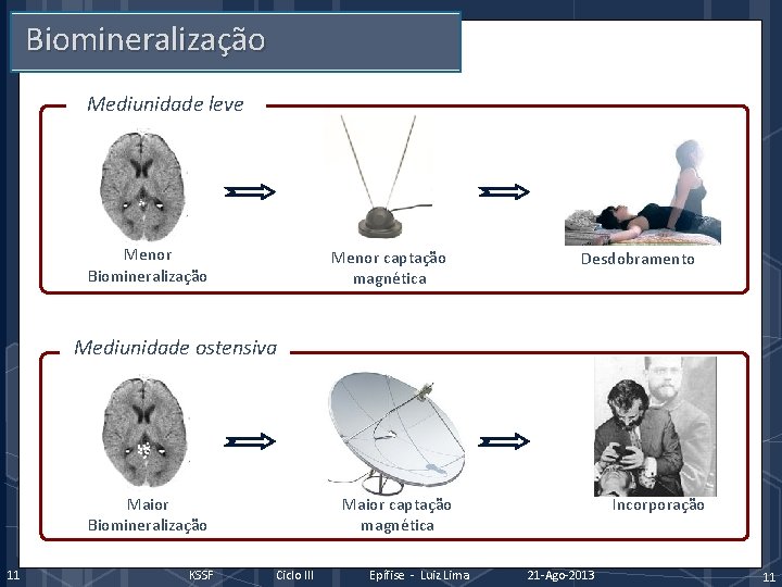 Biomineralização Mediunidade leve Menor Biomineralização Menor captação magnética Desdobramento Mediunidade ostensiva Maior Biomineralização 11