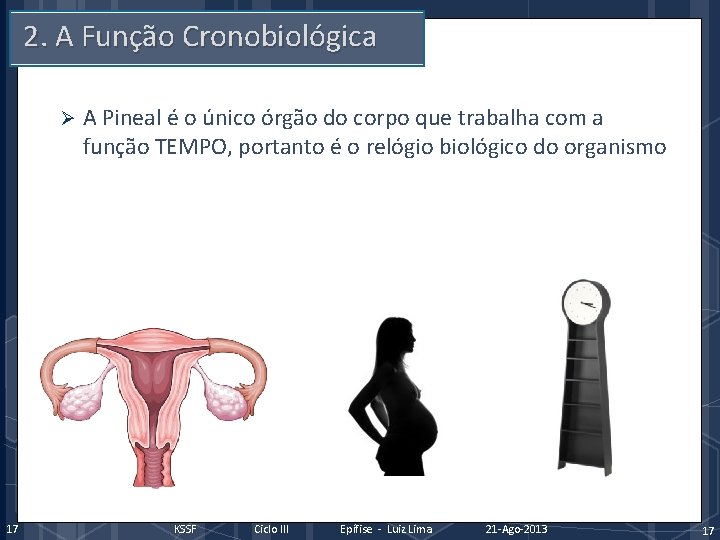 2. A Função Cronobiológica Ø 17 A Pineal é o único órgão do corpo