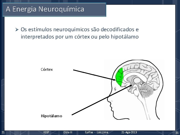 A Energia Neuroquímica Ø Os estímulos neuroquímicos são decodificados e interpretados por um córtex