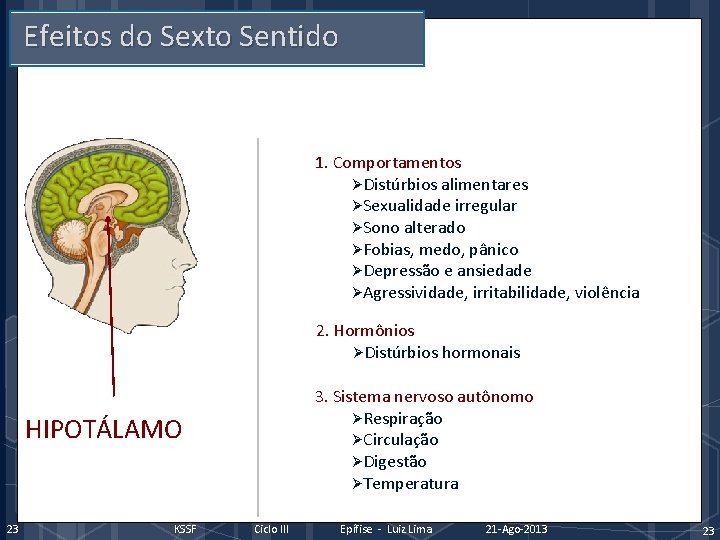 Efeitos do Sexto Sentido 1. Comportamentos ØDistúrbios alimentares ØSexualidade irregular ØSono alterado ØFobias, medo,