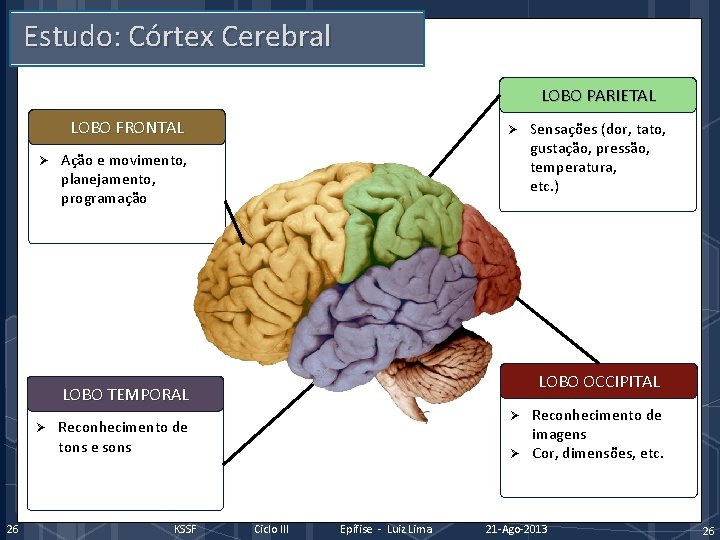 Estudo: Córtex Cerebral LOBO PARIETAL LOBO FRONTAL Ø Ø Ação e movimento, planejamento, programação