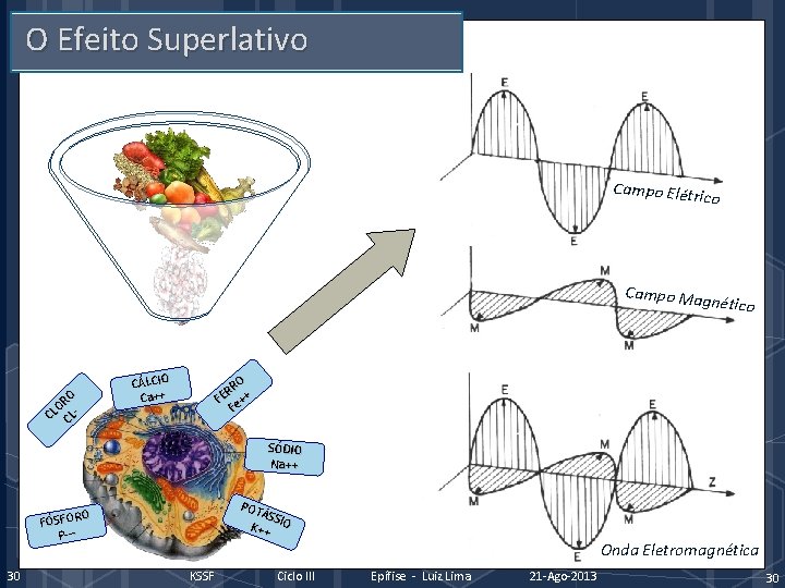 O Efeito Superlativo Campo Elétric o Campo Mag nético O OR L C CL